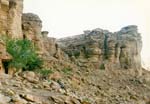Nabataean cisterns at Jebel Ain Ghazal - the plant rowth shows us where to find them